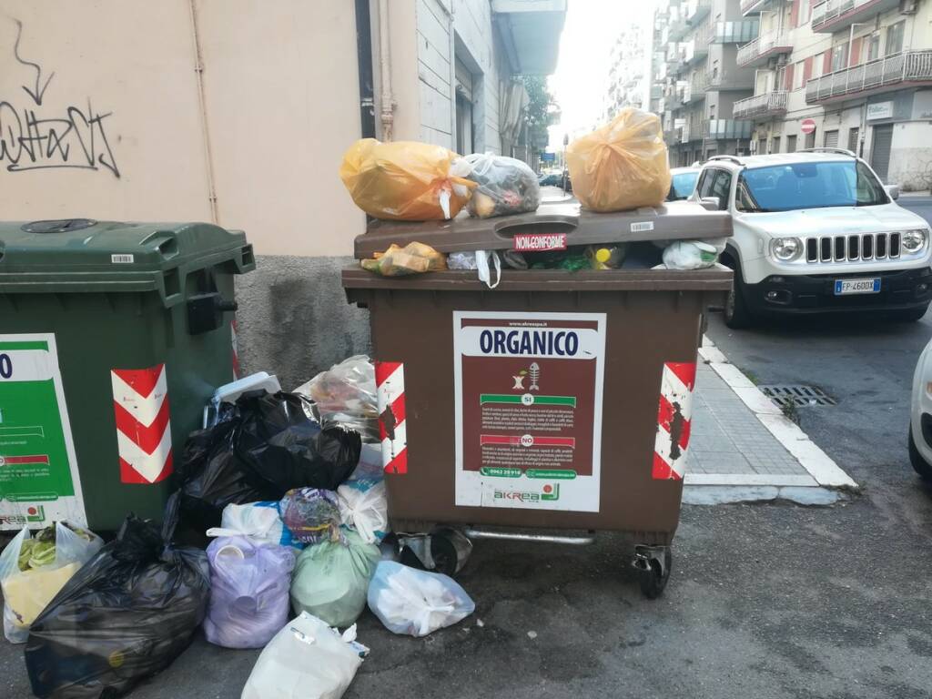 organico via-Torino2