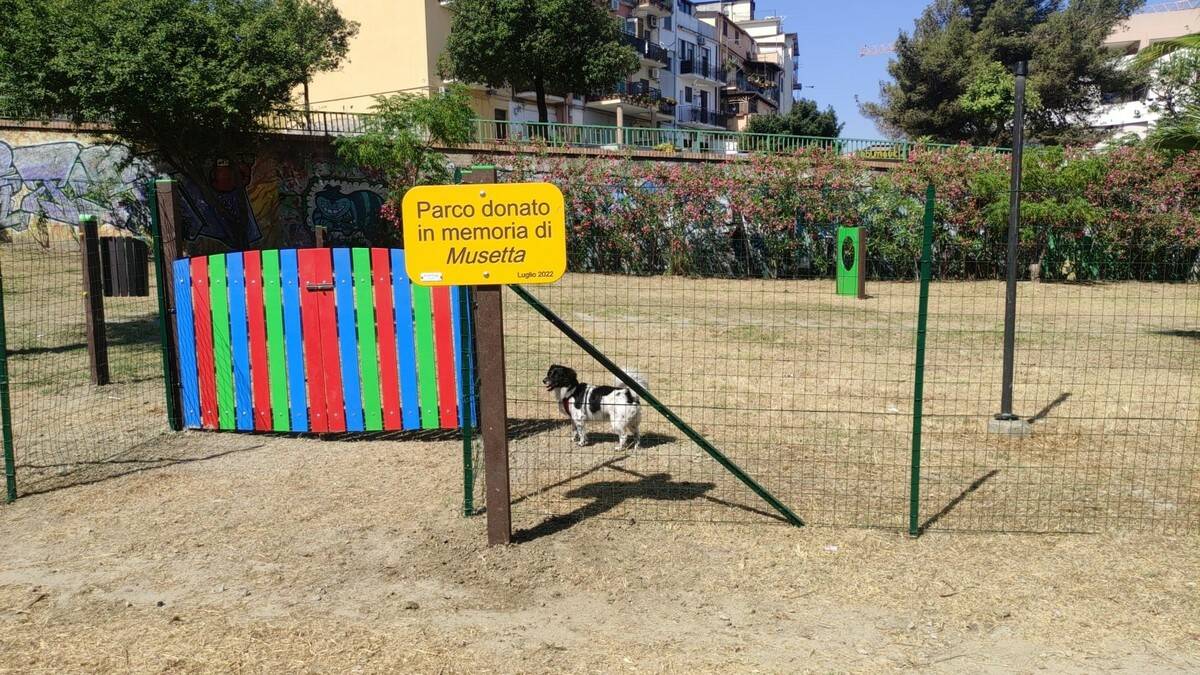 parco cani1